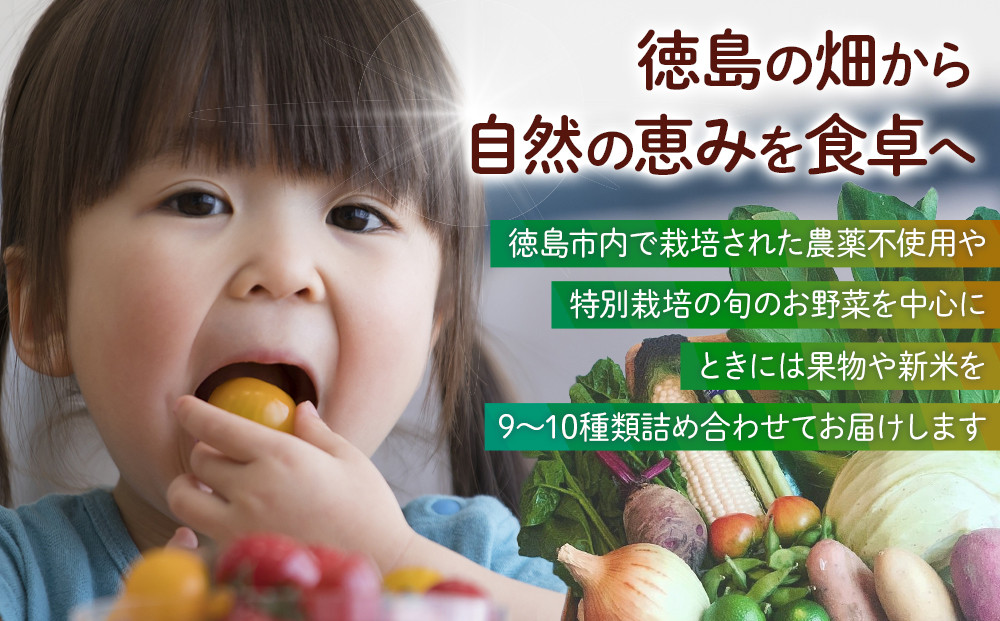 【全5回定期便】野菜セット 旬の野菜 （9~10種類)