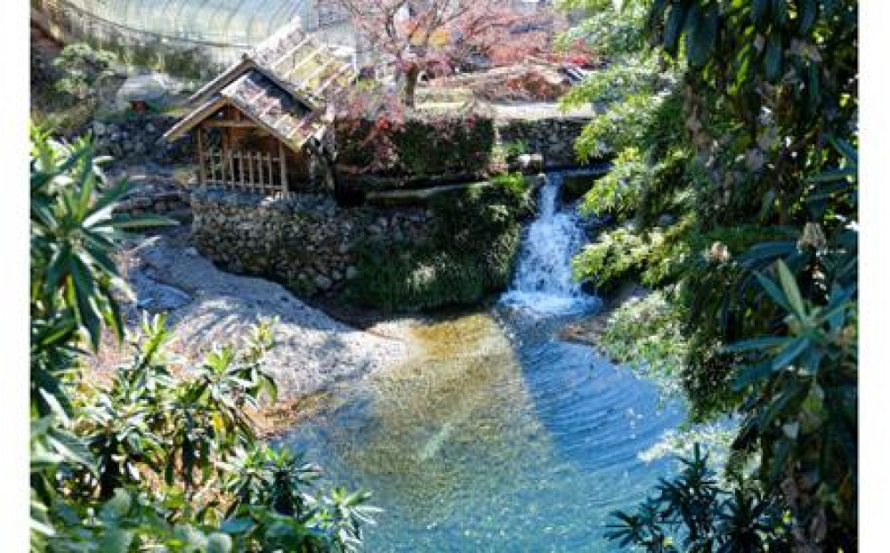 繧ッ繝ゥ繝輔ヨ繝薙シ繝ォ 鬟イ縺ソ豈斐∋ 6譛ャ 繧サ繝繝 (350mlテ6)