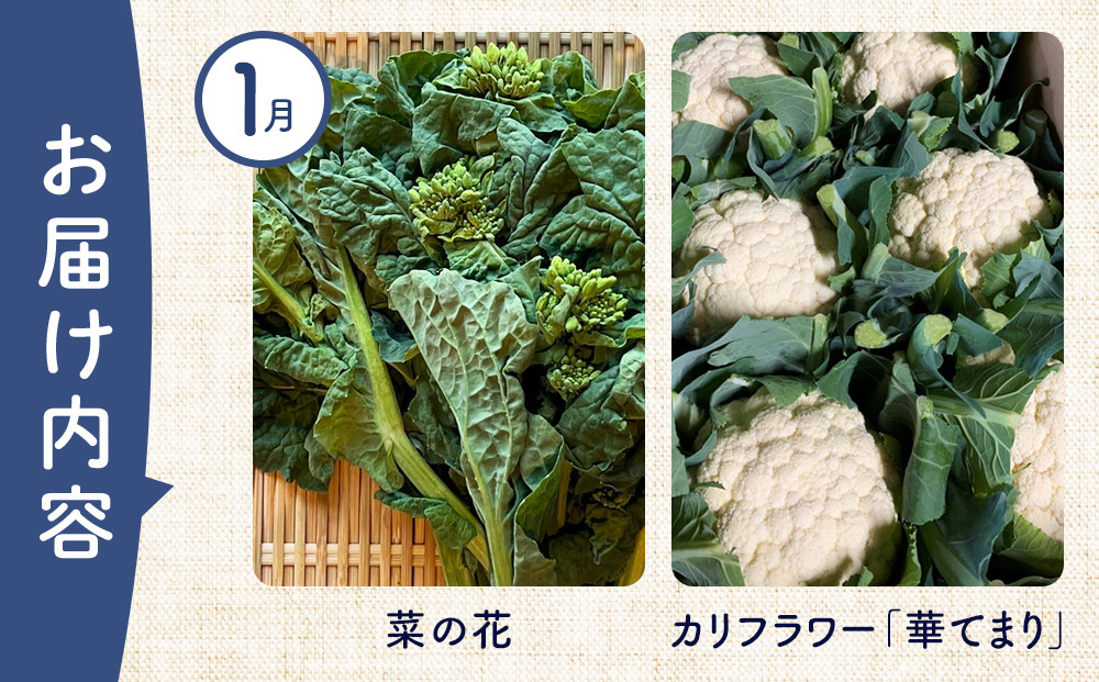 【12ヶ月定期便】野菜 くだもの 米（月替わりで毎月お届け）