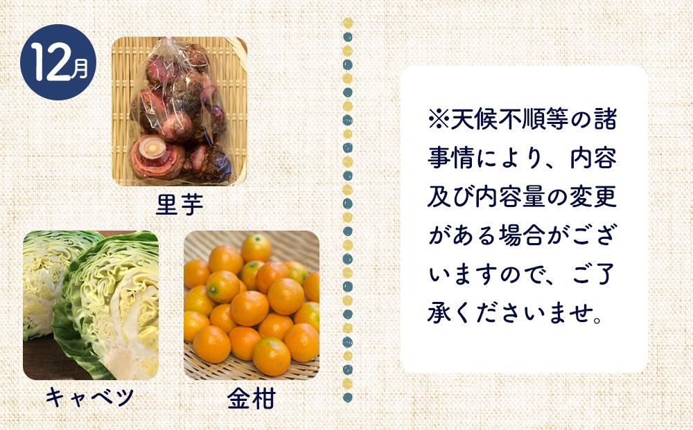 【12ヶ月定期便】野菜 くだもの 米（月替わりで毎月お届け）