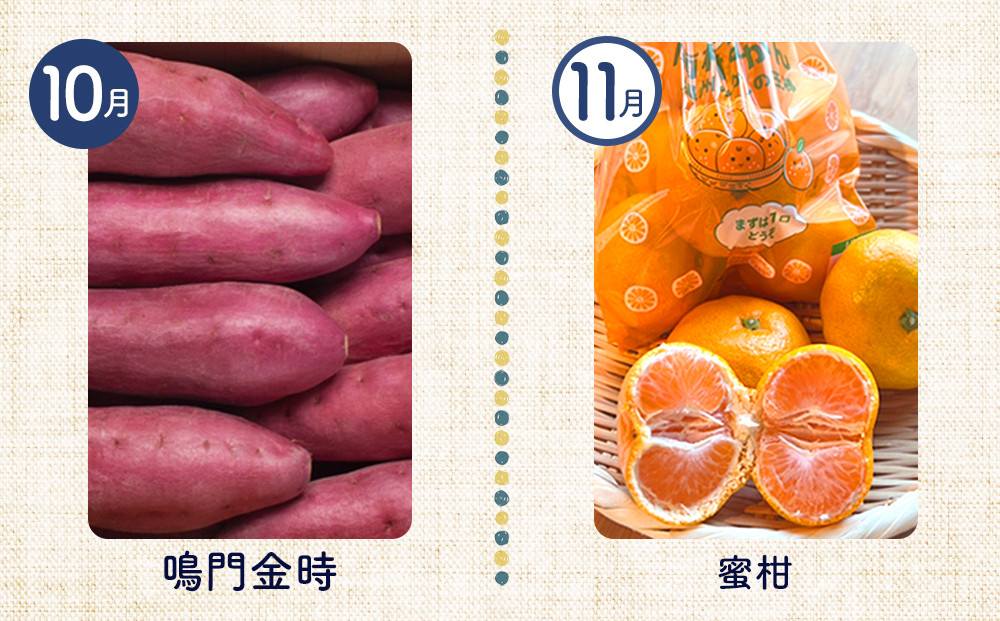 【12ヶ月定期便】野菜 くだもの 米（月替わりで毎月お届け）