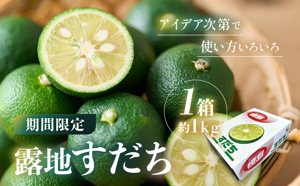 先行予約 露地すだち 1箱（約1kg）