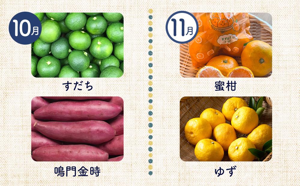 【12ヶ月定期便】野菜 くだもの 米（月替わりで毎月お届け）