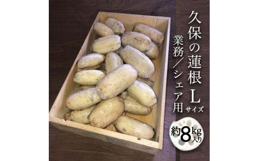 蓮根 業務・シェア用「Lサイズ」約8kg入 れんこん