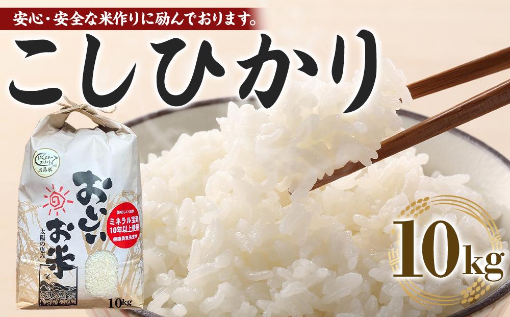 【期間限定】【令和6年産 新米】こしひかり 10kg（農薬・化学肥料不使用）【米 こめ お米 白米 精米 ブランド米 ご飯 人気 徳島 】