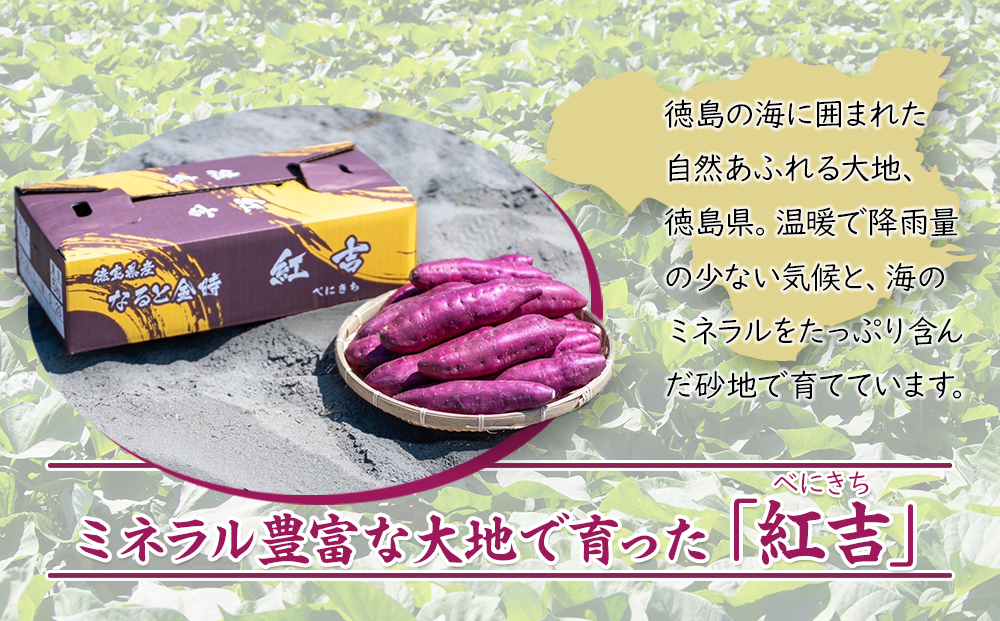 さつまいも なると金時 紅吉（べにきち）5kg  芋 いも
