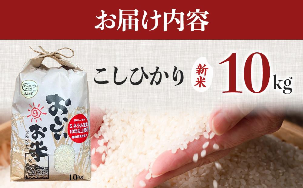 【期間限定】【令和6年産 新米】こしひかり 10kg（農薬・化学肥料不使用）【米 こめ お米 白米 精米 ブランド米 ご飯 人気 徳島 】