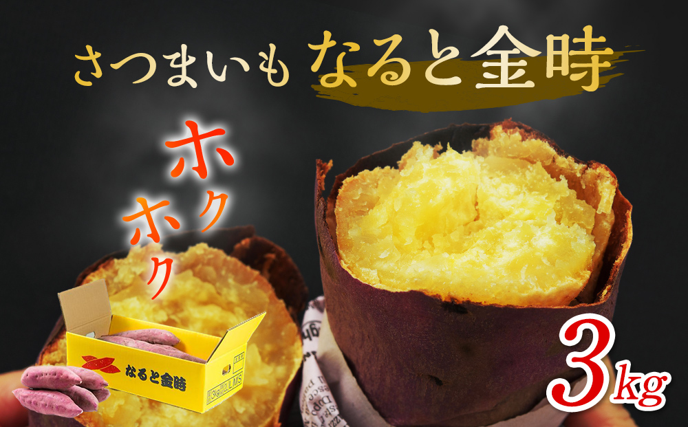 なると金時 3kg | さつまいも 鳴門金時 箱入り サツマイモ 野菜 人気 ホクホク 鳴門のさつまいも 鳴門金時 さつまいも 野菜 | さつまいも なると金時 サツマイモ 鳴門金時 さつまいも なると金時 さつまいも
