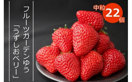 【2025年1月下旬以降順次発送・予約受付中】フルーツガーデンゆうのイチゴ「うずしおベリー」中粒22個