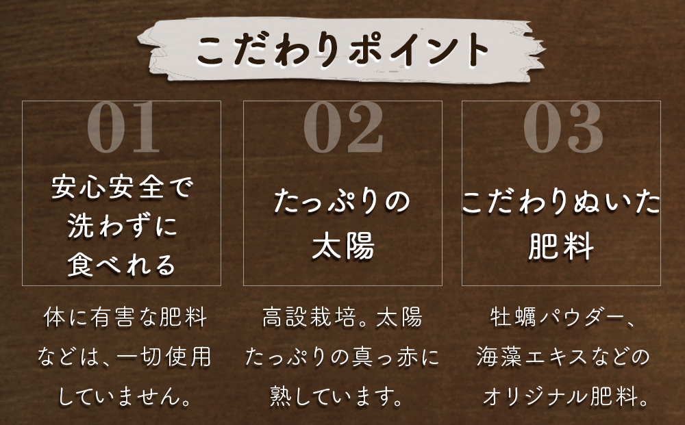 【朝摘みをお届け！】【2024年12月頃より順次発送】 フルーツガーデンやまがたのいちご「うずしおベリー」中粒22個 【数量限定】 いちご フルーツ 果物 苺 イチゴ 旬の果物 季節の果物 鳴門の果物 季節のフルーツ 旬のフルーツ 鳴門のフルーツ 旬のいちご 鳴門のいちご