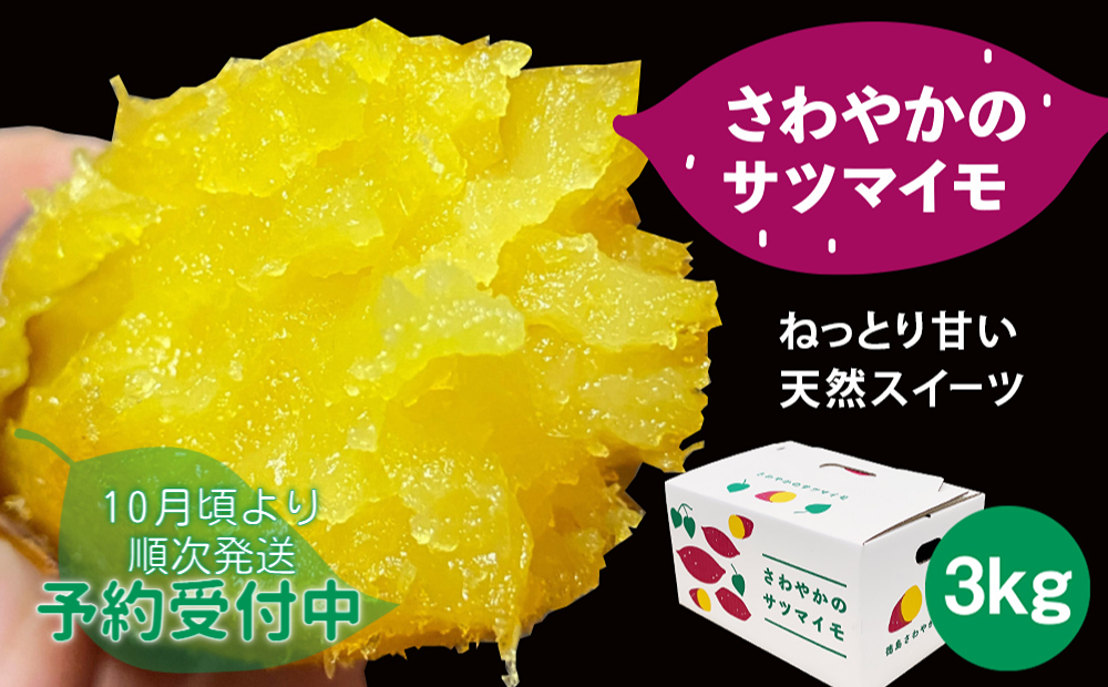 【予約受付中・2026年10月頃より順次発送】さわやかのサツマイモ　3kg　鳴門　サツマイモ　ねっとり　甘い　天ぷら　スイーツ　焼き芋　さつまいも