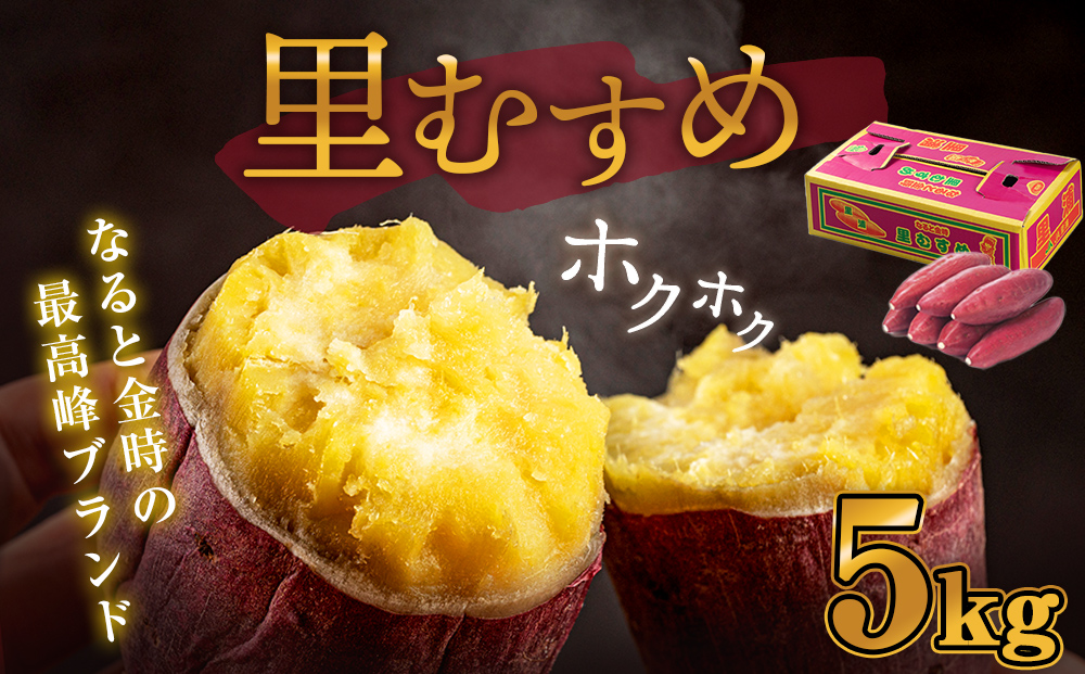 さつまいも なると金時（里むすめ）5kg 鳴門金時 箱入り さつまいも　ホクホク　お菓子　天ぷら　