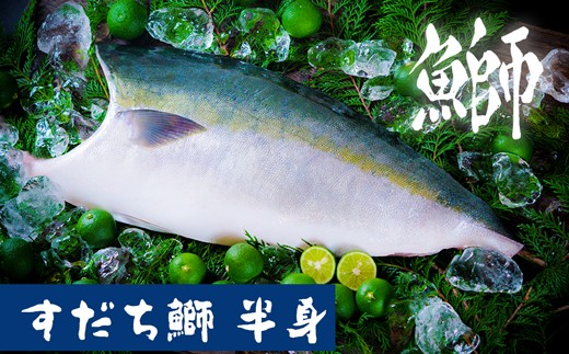 すだち鰤 半身 約1.5kg 徳島県産 ぶり ブリ ブランド鰤 鳴門 刺身 魚 真空パック すだちブリ ぶり 魚 鰤 ブリ