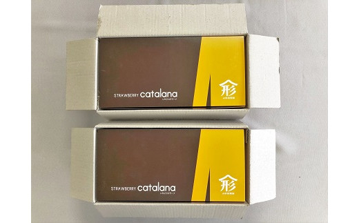 うずしおベリー カタラーナ 贅沢6箱セット(計24個) いちごスイーツ 苺 フルーツガーデンやまがた スイーツ お菓子 ギフト 敬老の日 お歳暮 冷凍 洋菓子 いちご