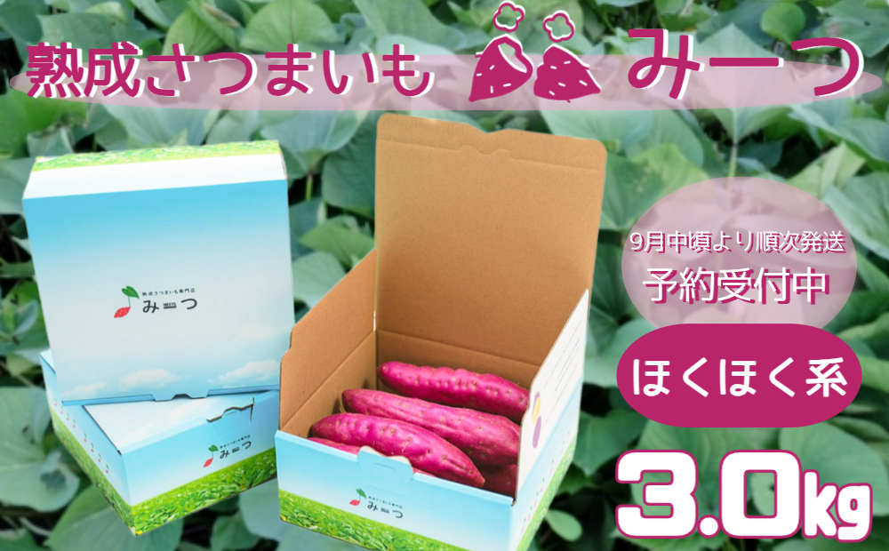 熟成さつまいも みーつ (ほくほく系) 3.0kg 【 予約受付中・2024年9月中旬頃より順次発送 】 ｜ なると金時 鳴門金時 甘い ホクホク 国産 熟成 産地直送 スイーツ 焼き芋 焼芋 焼きいも スイートポテト おやつ 天ぷら 干し芋 ギフト お土産 おみやげ