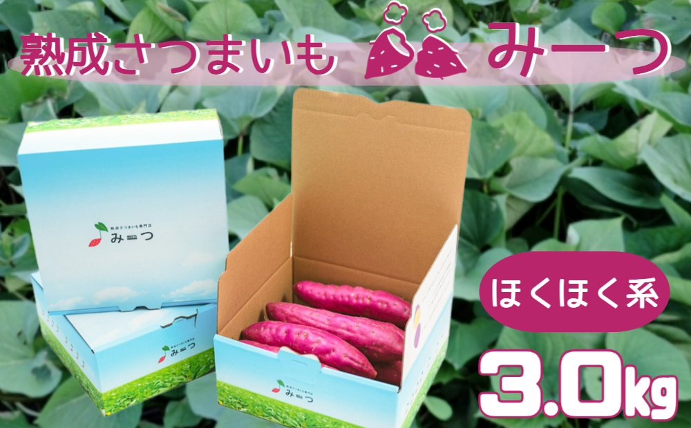 熟成さつまいも みーつ (ほくほく系) 3.0kg  ｜ なると金時 鳴門金時 甘い ホクホク 国産 熟成 産地直送 スイーツ 焼きいも スイートポテト おやつ 天ぷら 干し芋 ギフト お土産 おみやげ