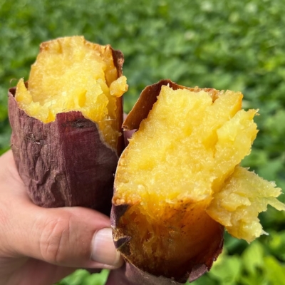 çæãã€ãŸãã ã¿ãŒã€ (ãã£ãšãç³») 3.0kg ïœ çŽ
ã¯ãã ã¹ã«ã¯ãã çã ãã£ãšã çæ åœç£ ç£å°çŽé ã¹ã€ãŒã ãã〠çŒãè çŒè çŒããã ã¹ã€ãŒãããã 倩ã·ã å¹²ãè ã®ãã ãåç£ ãã¿ãã
