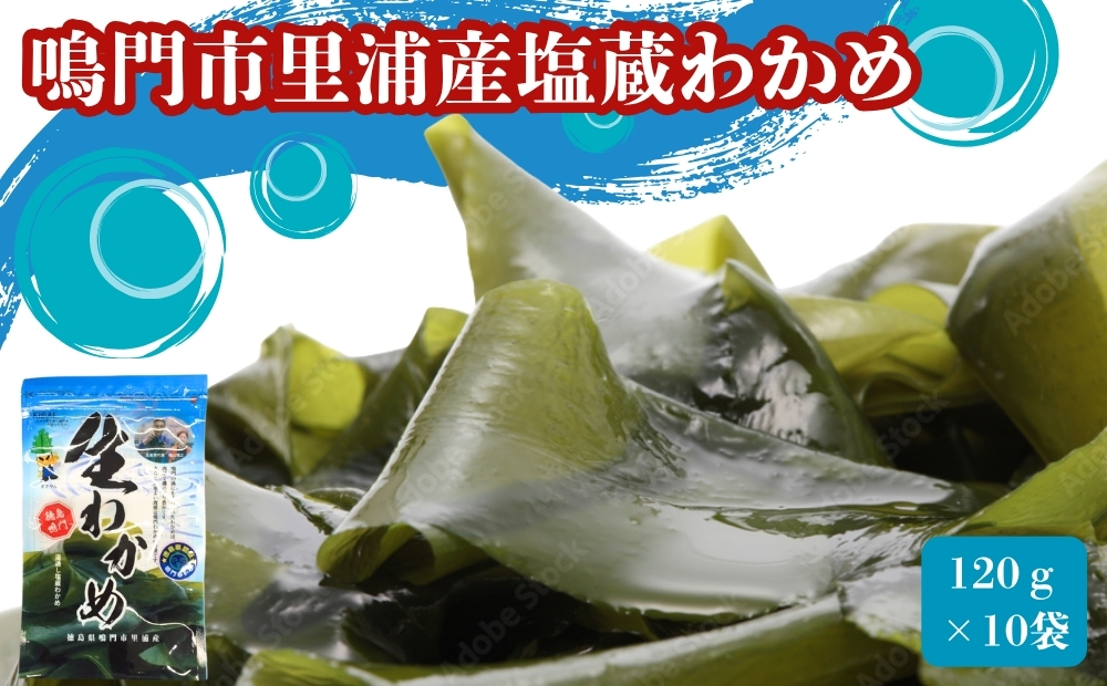 鳴門市里浦産塩蔵わかめ 120ｇ×10袋　鳴門わかめ　小袋　冷蔵　酢の物　味噌汁　サラダ　カット　敬老の日　ワカメ　