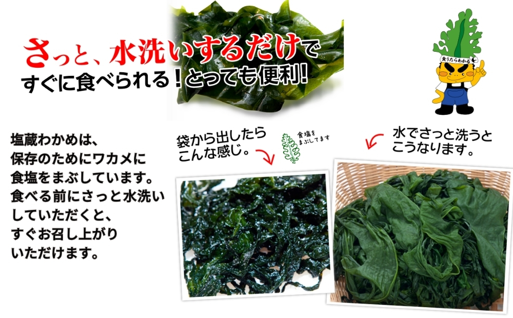 鳴門市里浦産塩蔵わかめ 120ｇ×10袋　鳴門わかめ　小袋　冷蔵　酢の物　味噌汁　サラダ　カット　敬老の日　ワカメ　
