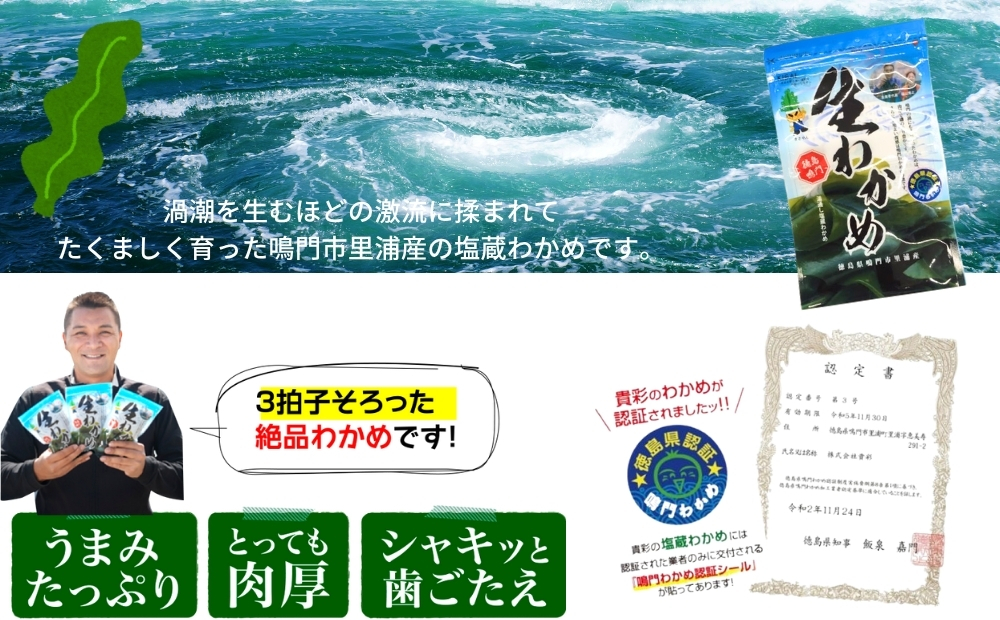 鳴門市里浦産塩蔵わかめ 120ｇ×10袋　鳴門わかめ　小袋　冷蔵　酢の物　味噌汁　サラダ　カット　敬老の日　ワカメ　