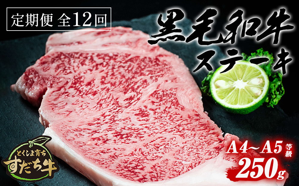 定期便 12回お届け すだち牛黒毛和牛（ステーキ用）250g