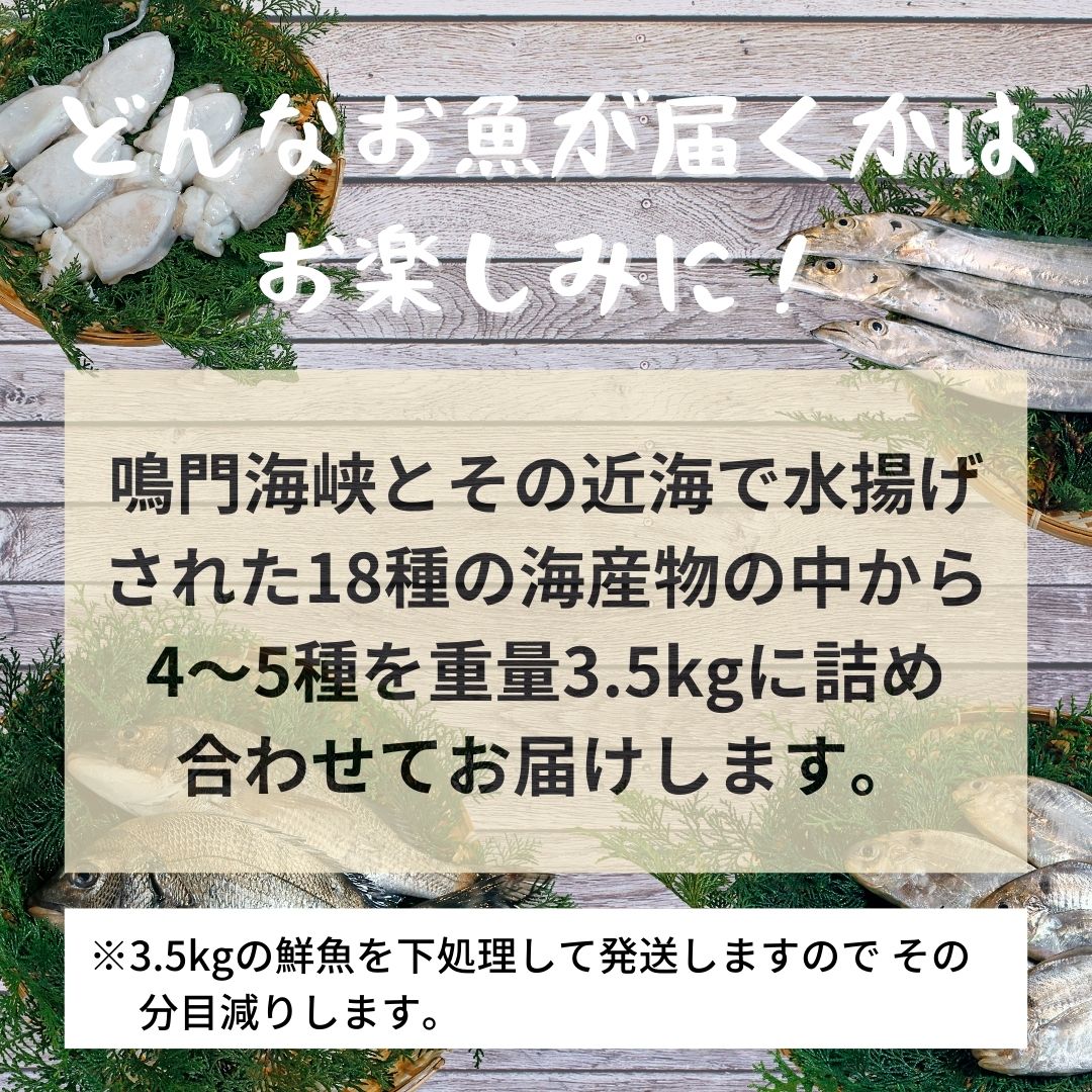 鳴門海峡冷凍鮮魚セット 3.5kg （ 4～5種 ） 訳あり 鮮魚 魚 冷凍 魚介類 海鮮 水産 詰め合わせ 詰合せ お魚 セット 下処理 小分け 鮮魚セット 魚介類 魚種おまかせ 鳴門わかめが必ず入る 訳ありセット 鮮魚 鮮魚 鮮魚 鮮魚 鮮魚 鮮魚 鮮魚 鮮魚 鮮魚 鮮魚 鮮魚 鮮魚 鮮魚 鮮魚 鮮魚 鮮魚 鮮魚 鮮魚 鮮魚 鮮魚 鮮魚 鮮魚 鮮魚 鮮魚 鮮魚 鮮魚 鮮魚 鮮魚 鮮魚 鮮魚 鮮魚 鮮魚 鮮魚 鮮魚 鮮魚 鮮魚 鮮魚 鮮魚 鮮魚 鮮魚 鮮魚 鮮魚 鮮魚 鮮魚 鮮魚 鮮魚 鮮魚 鮮魚 鮮魚