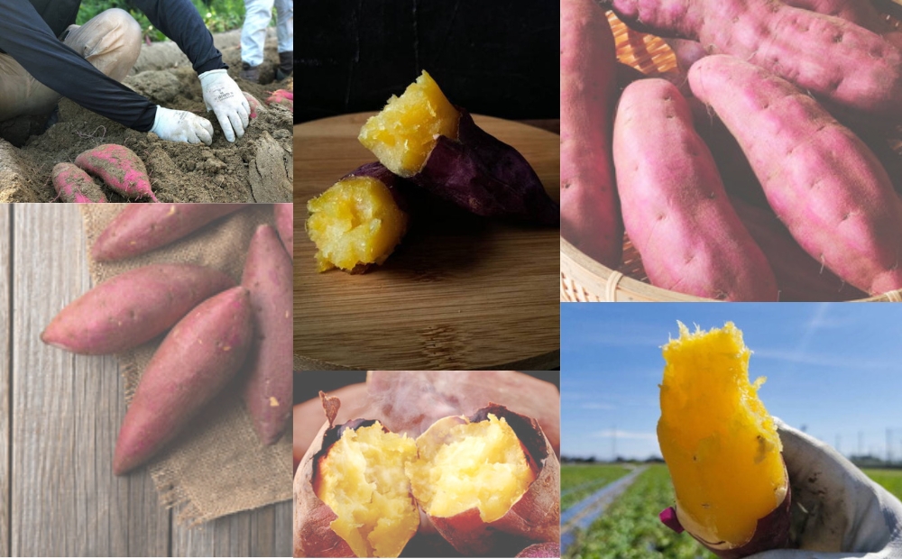 鳎éåžå€§æŽ¥ç£ãæšå³éæ 5kgã鳎éãã»ãã»ãã倩ã·ããçŒãèãã¹ã€ãŒãããã€ãŸããã