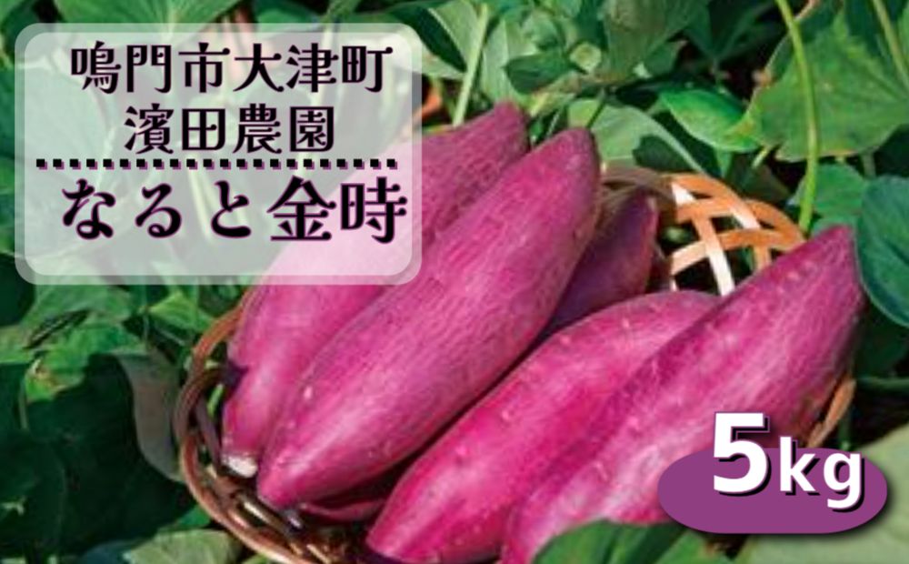 【濱田農園】 なると金時 訳あり サイズ混合5kg  |  さつまいも サツマイモ ご飯 天ぷら なると金時 ホクホク