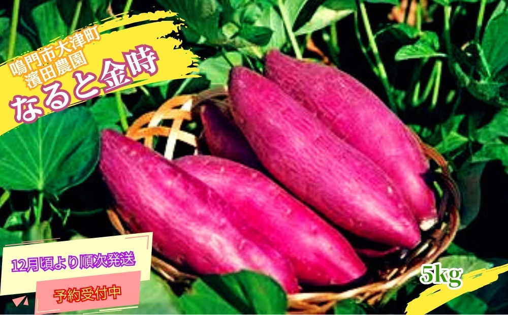 【予約受付中・2025年12月頃より順次発送】【濱田農園】 なると金時 訳あり サイズ混合5kg  |  さつまいも サツマイモ ご飯 天ぷら なると金時 ホクホク