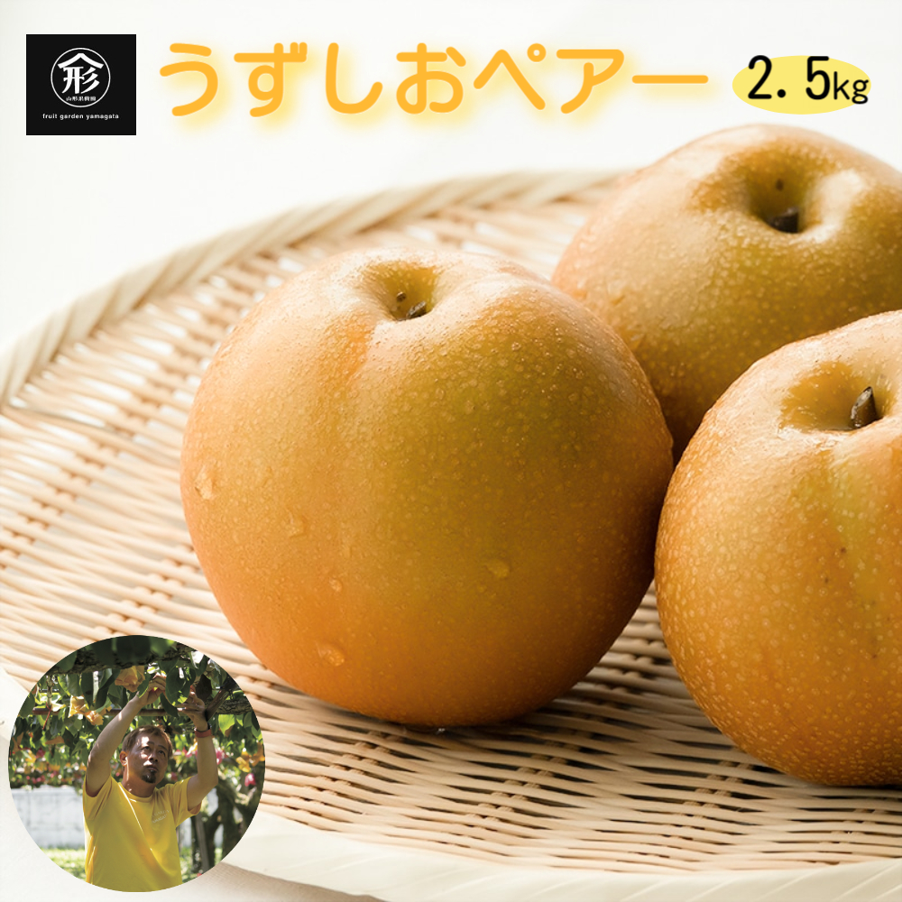 【 予約受付中・2026年8月中旬頃より順次発送 】うずしおペアー 2.5kg 国産梨 フルーツ 甘い 幸水 豊水 新高 梨 ナシ