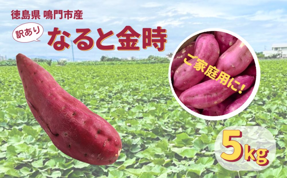 本場・徳島県鳴門市産「ご家庭用（訳あり） なると金時 」約5kg【数量限定】 鳴門金時 ほくほく 甘い  国産 産地直送 スイーツ おやつ 天ぷら 干し芋 ギフト
