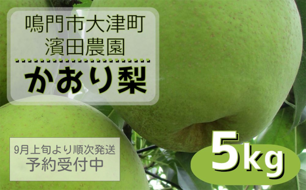 【濱田農園】 かおり梨 約5kg 【数量限定】【2024年9月上旬より順次発送 予約受付】  フルーツ 果物 梨 ナシ 旬の梨 秋の梨 旬のフルーツ 秋のフルーツ 鳴門の梨 徳島県産 フルーツ 果物 幻の梨 旬の果物 秋の果物 和梨 香梨 新興 幸水フルーツフルーツフルーツフルーツフルーツフルーツフルーツフルーツフルーツフルーツフルーツフルーツフルーツフルーツフルーツフルーツフルーツフルーツフルーツフルーツフルーツフルーツフルーツフルーツ 梨 梨 梨 梨 梨 梨 梨 梨 梨 梨 梨 梨 梨 梨 梨 梨 梨