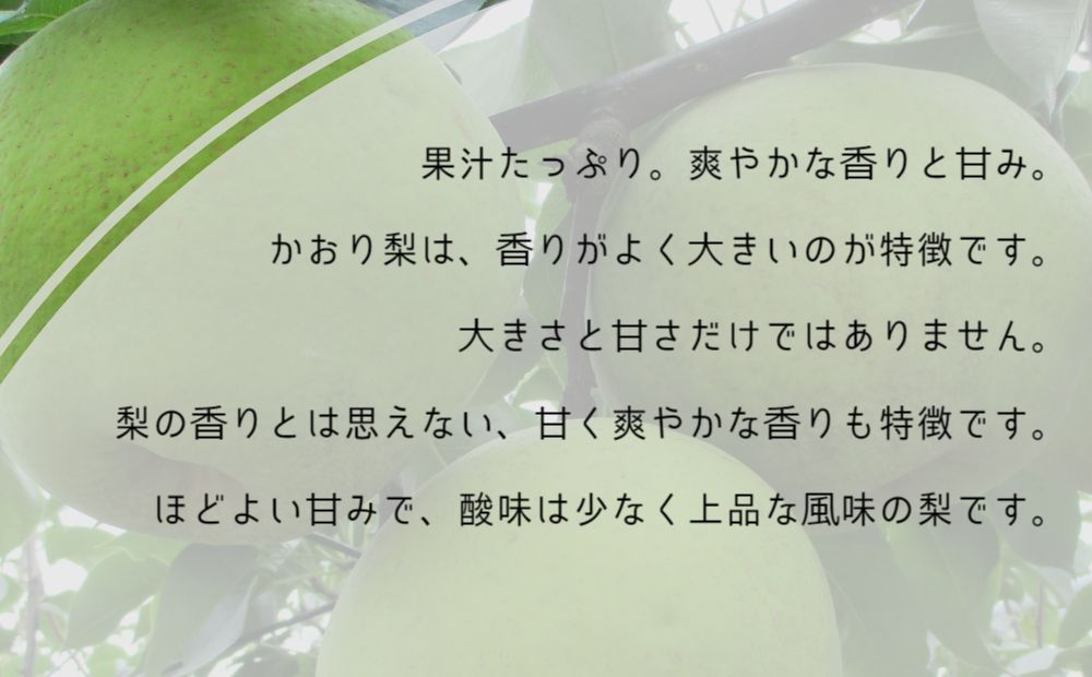 【濱田農園】 かおり梨 約5kg 【数量限定】【2024年9月上旬より順次発送 予約受付】  フルーツ 果物 梨 ナシ 旬の梨 秋の梨 旬のフルーツ 秋のフルーツ 鳴門の梨 徳島県産 フルーツ 果物 幻の梨 旬の果物 秋の果物 和梨 香梨 新興 幸水フルーツフルーツフルーツフルーツフルーツフルーツフルーツフルーツフルーツフルーツフルーツフルーツフルーツフルーツフルーツフルーツフルーツフルーツフルーツフルーツフルーツフルーツフルーツフルーツ 梨 梨 梨 梨 梨 梨 梨 梨 梨 梨 梨 梨 梨 梨 梨 梨 梨