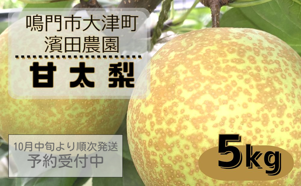 【濱田農園】 甘太梨 約5kg 【数量限定】【予約受付中・10月中旬より順次発送】フルーツ 果物 梨 ナシ 完熟梨 季節の梨 旬の梨 秋の梨 鳴門の梨 完熟果物 季節の果物 旬の果物 秋の果物 鳴門の果物 完熟フルーツ 季節のフルーツ 旬のフルーツ 秋のフルーツ 鳴門のフルーツ 濱田農園の果物 濱田農園のフルーツフルーツフルーツフルーツフルーツフルーツフルーツフルーツフルーツフルーツフルーツフルーツフルーツフルーツフルーツフルーツフルーツフルーツフルーツフルーツフルーツフルーツフルーツフルーツフルーツフル