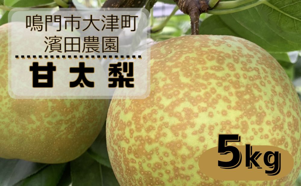 【予約受付中】【10月上旬～中旬より順次発送】【濱田農園】 甘太梨 約5kg 【数量限定】