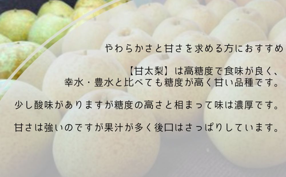 【濱田農園】 甘太梨 約5kg 【数量限定】【予約受付中・10月中旬より順次発送】フルーツ 果物 梨 ナシ 完熟梨 季節の梨 旬の梨 秋の梨 鳴門の梨 完熟果物 季節の果物 旬の果物 秋の果物 鳴門の果物 完熟フルーツ 季節のフルーツ 旬のフルーツ 秋のフルーツ 鳴門のフルーツ 濱田農園の果物 濱田農園のフルーツフルーツフルーツフルーツフルーツフルーツフルーツフルーツフルーツフルーツフルーツフルーツフルーツフルーツフルーツフルーツフルーツフルーツフルーツフルーツフルーツフルーツフルーツフルーツフルーツフル