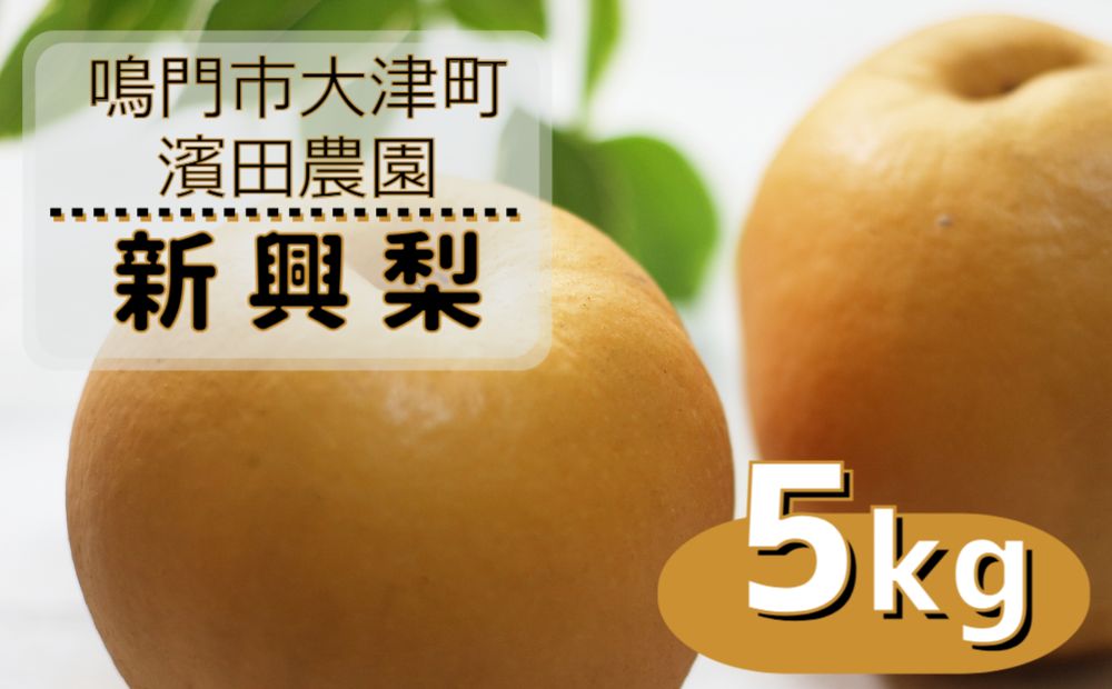 【予約受付中】【10月中旬～下旬より順次発送】【濱田農園】 新興梨 約5kg 【数量限定】
