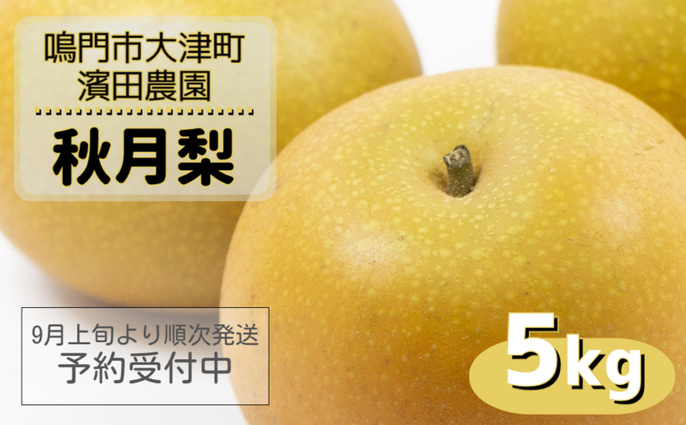 【濱田農園】 秋月梨 約5kg 【数量限定】【予約受付中・９月上旬より順次発送】フルーツ 果物 梨 ナシ 旬の梨 秋の梨 旬のフルーツ 秋のフルーツ 鳴門の梨 徳島県産 フルーツ 果物 幻の梨 旬の果物 秋の果物 和梨 香梨 新興 幸水 フルーツフルーツフルーツフルーツフルーツフルーツフルーツフルーツフルーツフルーツフルーツフルーツフルーツフルーツフルーツフルーツ梨 梨 梨 梨 梨 梨 梨 梨 梨 梨 梨 梨 梨 梨 梨 梨 梨 梨 梨 梨 梨 梨 梨 梨 梨 梨 梨 梨 梨 梨梨 梨 梨 梨 梨 梨 梨