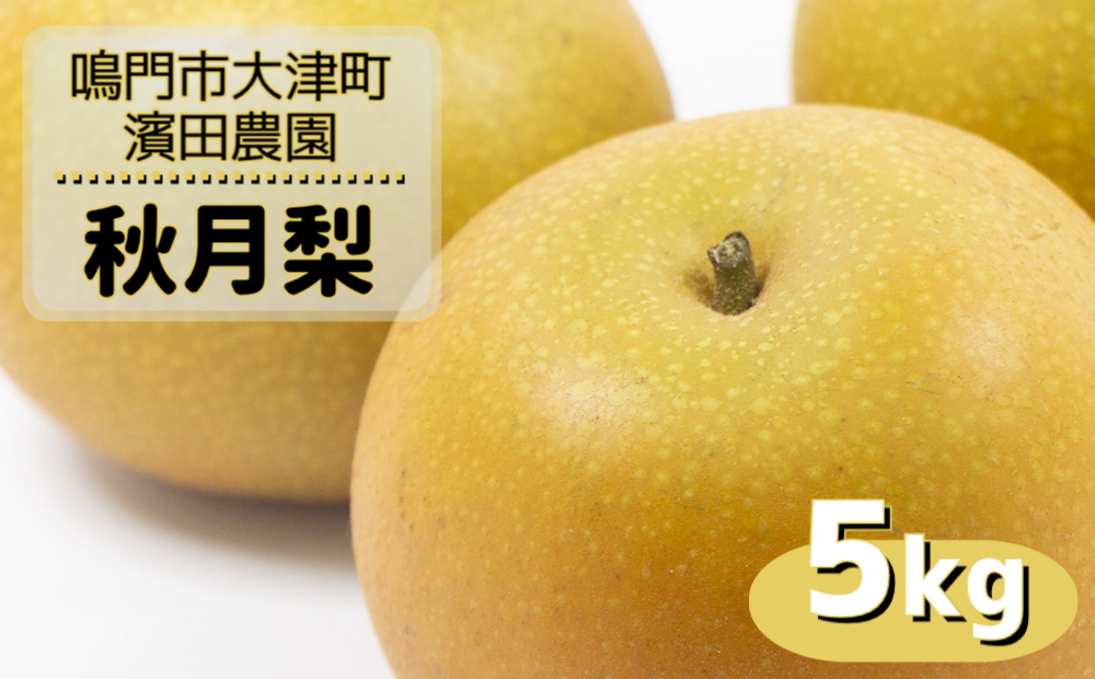 【予約受付中】【9月上旬より順次発送】 【濱田農園】 秋月梨 約5kg 【数量限定】