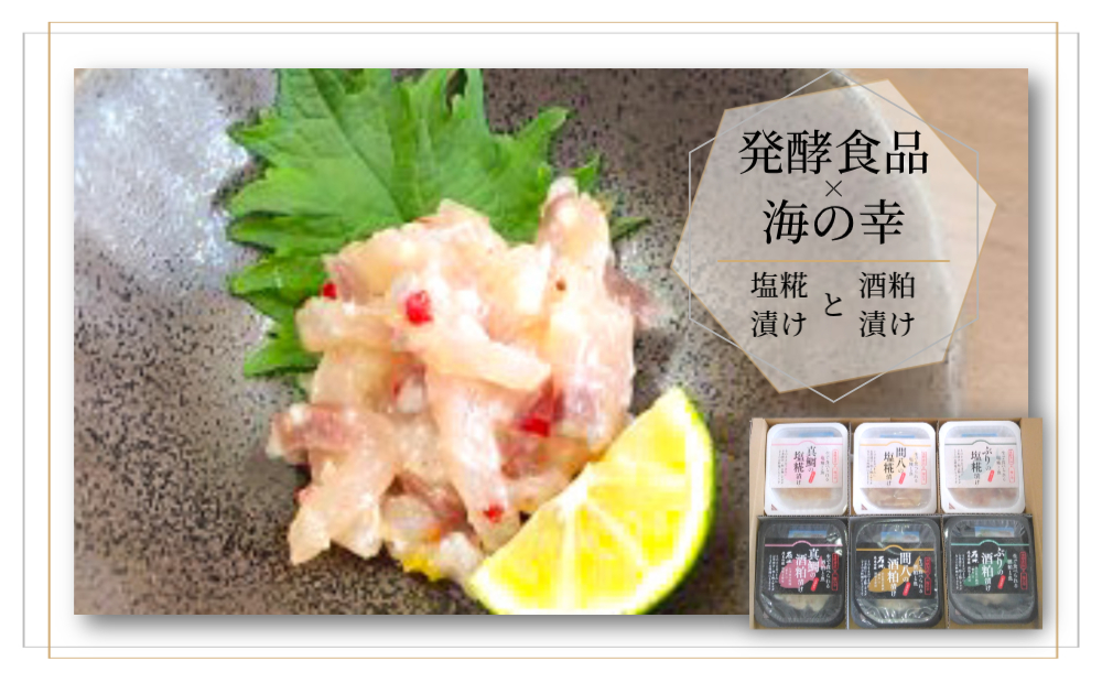 発酵食品×海の幸 「塩糀漬け・酒粕漬け」 6種セット ( 真鯛 / かんぱち / ぶり )