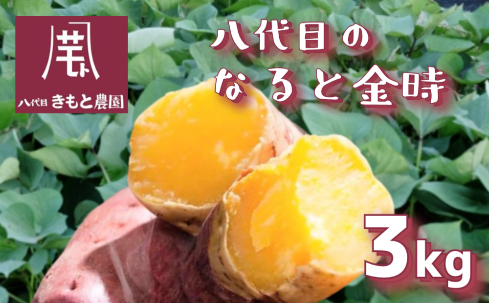 【木元農園】八代目の なると金時 約3kg  | 鳴門金時 甘い ホクホク 熟成 産地直送 スイーツ おやつ 焼きいも 天ぷら 干し芋 スイートポテト 離乳食