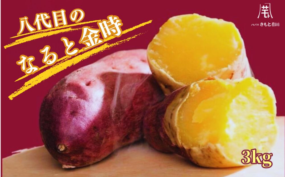 【木元農園】八代目の なると金時 約3kg  | 鳴門金時 甘い ホクホク 熟成 産地直送 スイーツ おやつ 焼きいも 天ぷら 干し芋 スイートポテト 離乳食　さつまいも