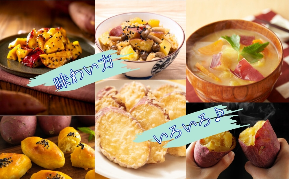 【木元農園】八代目の なると金時 約3kg  | 鳴門金時 甘い ホクホク 熟成 産地直送 スイーツ おやつ 焼きいも 天ぷら 干し芋 スイートポテト 離乳食　さつまいも