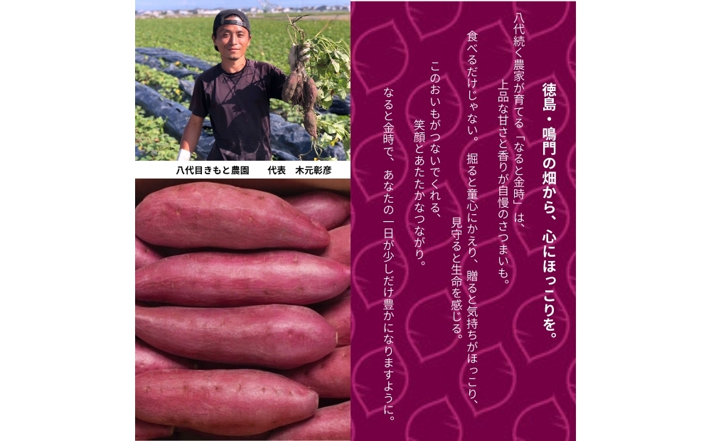 【木元農園】八代目の なると金時 約3kg  | 鳴門金時 甘い ホクホク 熟成 産地直送 スイーツ おやつ 焼きいも 天ぷら 干し芋 スイートポテト 離乳食　さつまいも