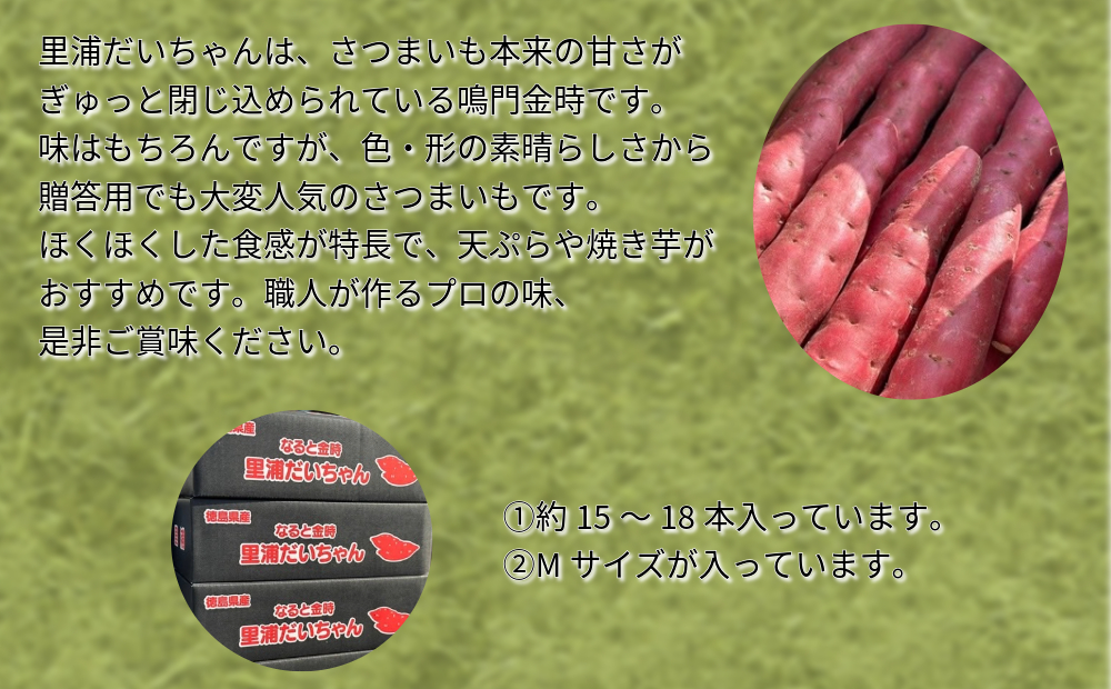 【 予約受付中・2024年10月中旬頃より順次発送 】鳴門産 さつまいも 『 里浦だいちゃん 』 3kg | なると金時 甘い ホクホク スイーツ 焼き芋 干し芋 天ぷら サラダ けんぴ きんつば