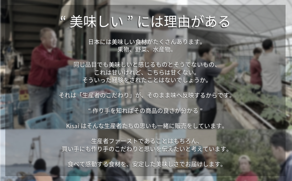 【 予約受付中・2024年10月中旬頃より順次発送 】鳴門産 さつまいも 『 里浦だいちゃん 』 3kg | なると金時 甘い ホクホク スイーツ 焼き芋 干し芋 天ぷら サラダ けんぴ きんつば