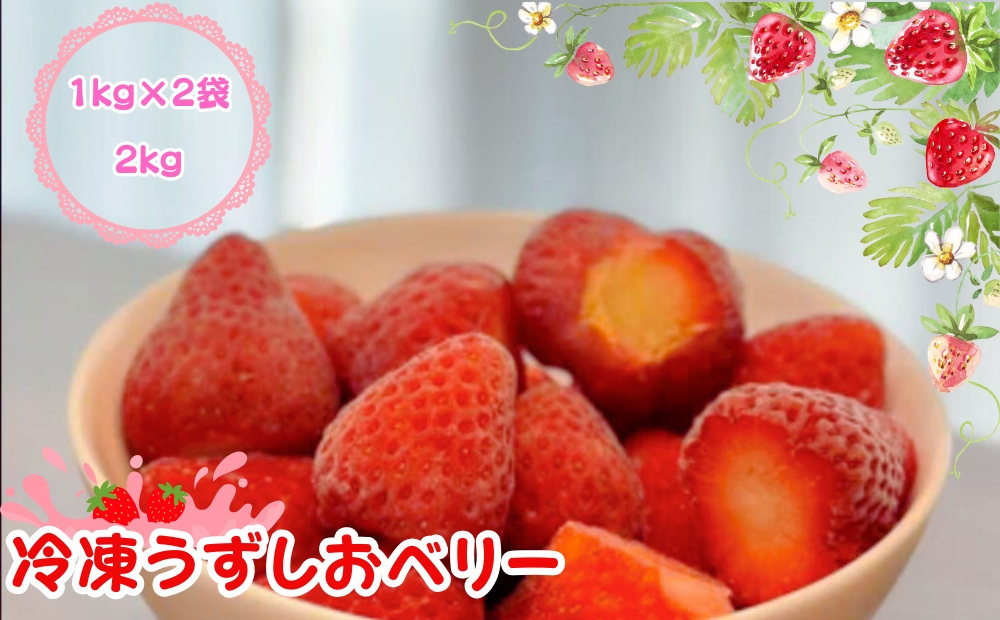 KISAI GARDEN 冷凍 うずしおベリー 2kg | 苺 いちご イチゴ 徳島 鳴門 果物 フルーツ スムージー ジャム　冷凍　いちご
