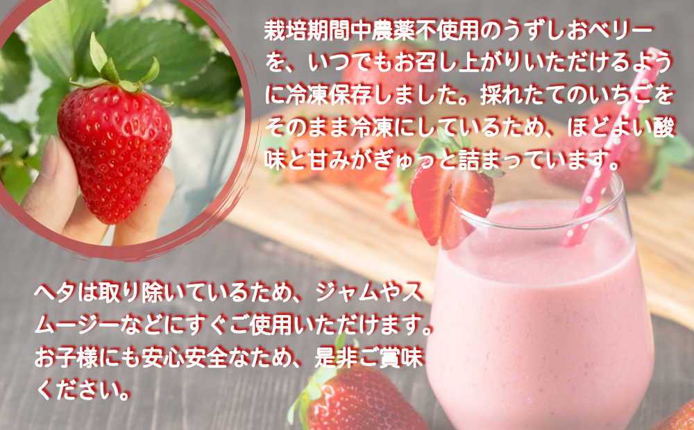 KISAI GARDEN 冷凍 うずしおベリー 2kg | 苺 いちご イチゴ 徳島 鳴門 果物 フルーツ スムージー ジャム
