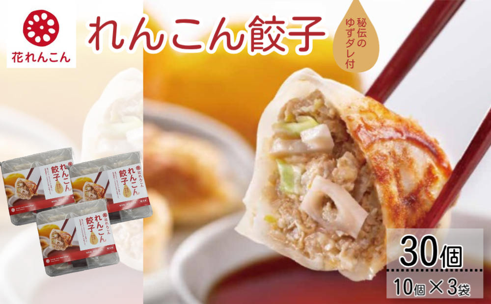 秘伝のゆずダレ付 鳴門れんこん 餃子 200g（20g×10個）×3袋　鳴門　れんこん　惣菜　冷凍　タレ付き　お土産　ギフト　餃子