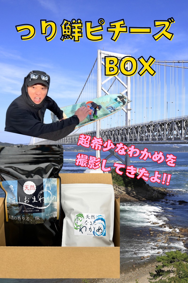 【ピチーズBOX】 天然なるとわかめ 200g×2袋 350g×2袋 【 減塩 】 鳴門わかめ わかめ 天然 国産 希少 人気 湯通し 塩蔵 味噌汁 みそ汁 スープ お刺身 サラダ 酢の物 和え物